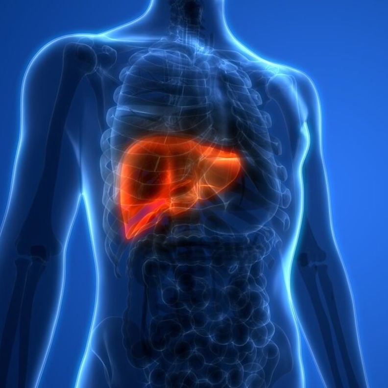 علامات تدل على الإصابة بتليف الكبد