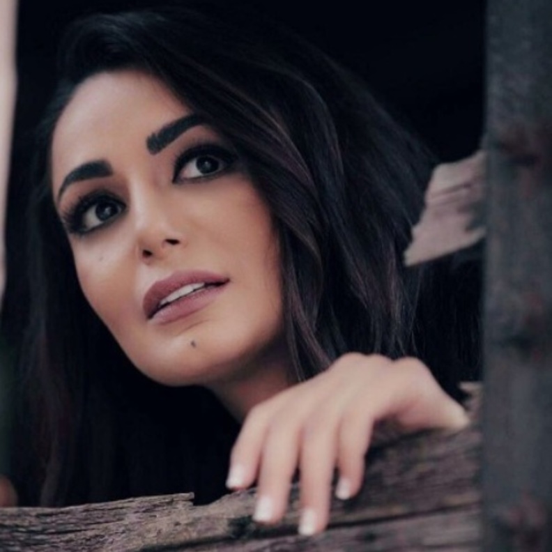 ديما الجندي