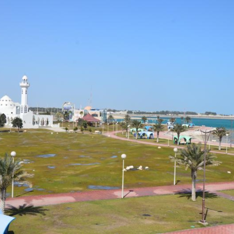 فيديو.. فلبينيين ينظفون الكورنيش بالمنطقة الشرقية والأمانة تكرمهم