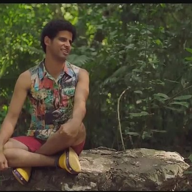 مسلسل في ال لا لا لاند