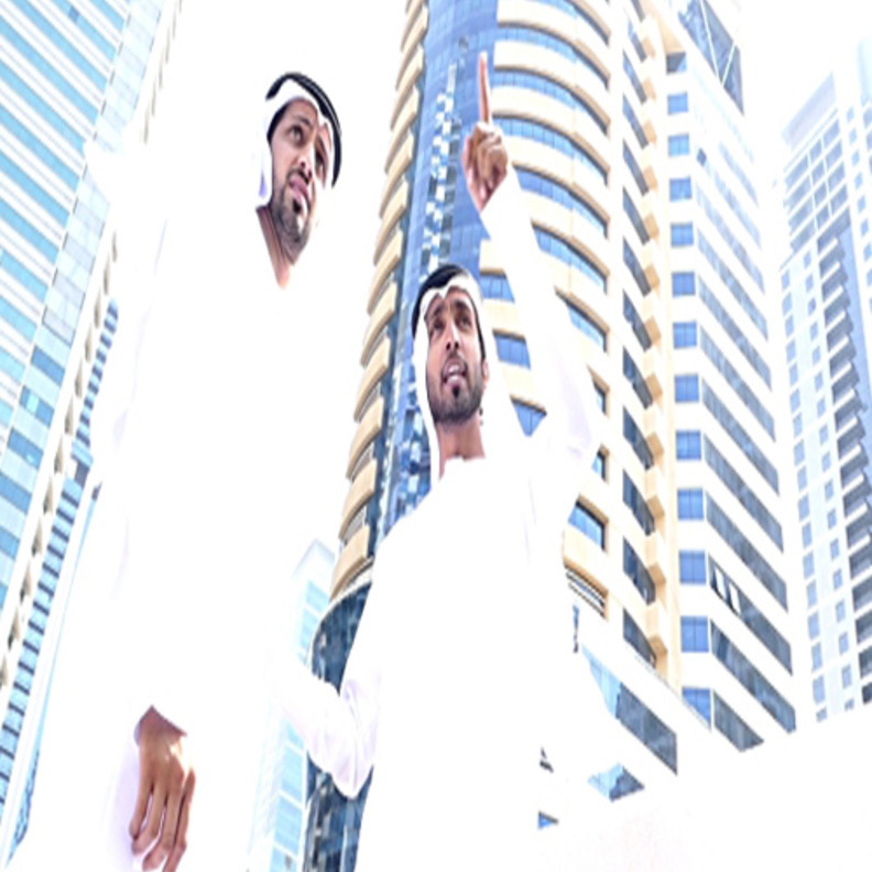 يهدف البرنامج الى ايجاد فرص وظيفية للخليجيين