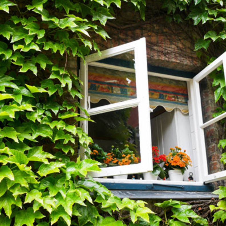 فوائد صحية كثيرة لتهوية المنزل