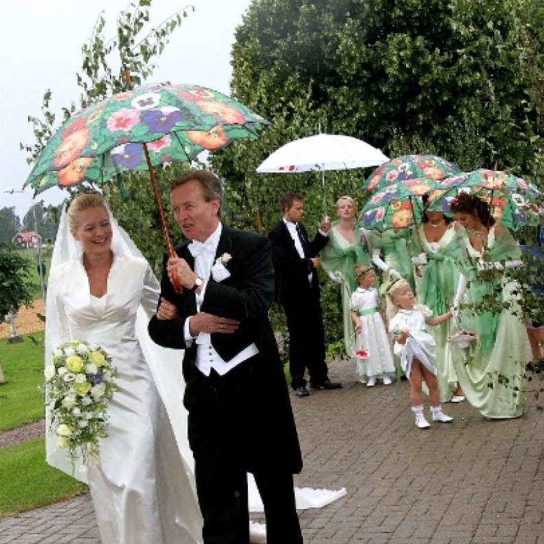 الجميلة "آنا" .. أميرة الأفراح الملكية فقط  