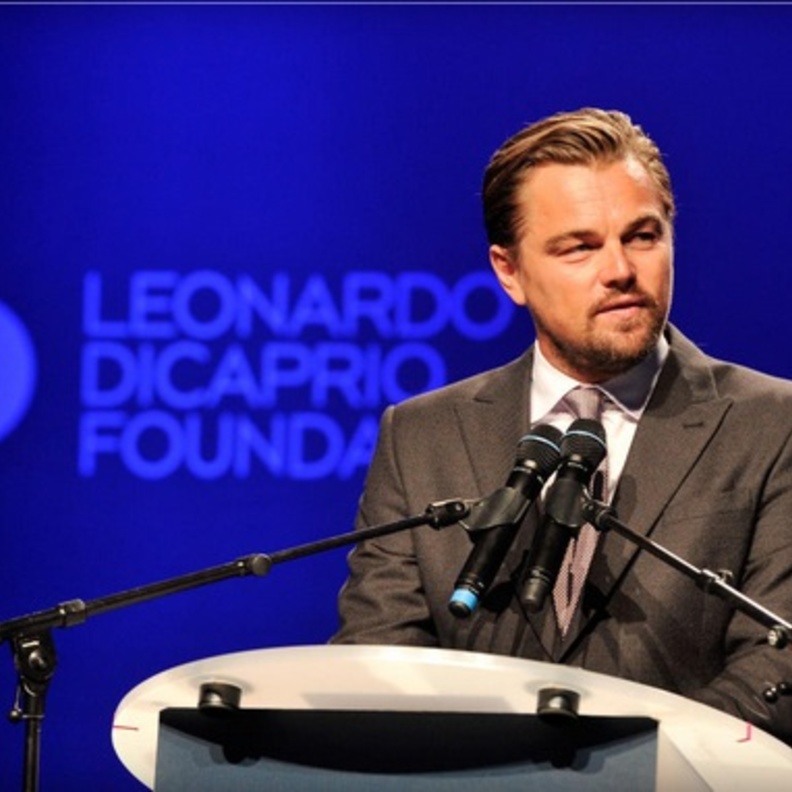 ليوناردو دى كابريو 