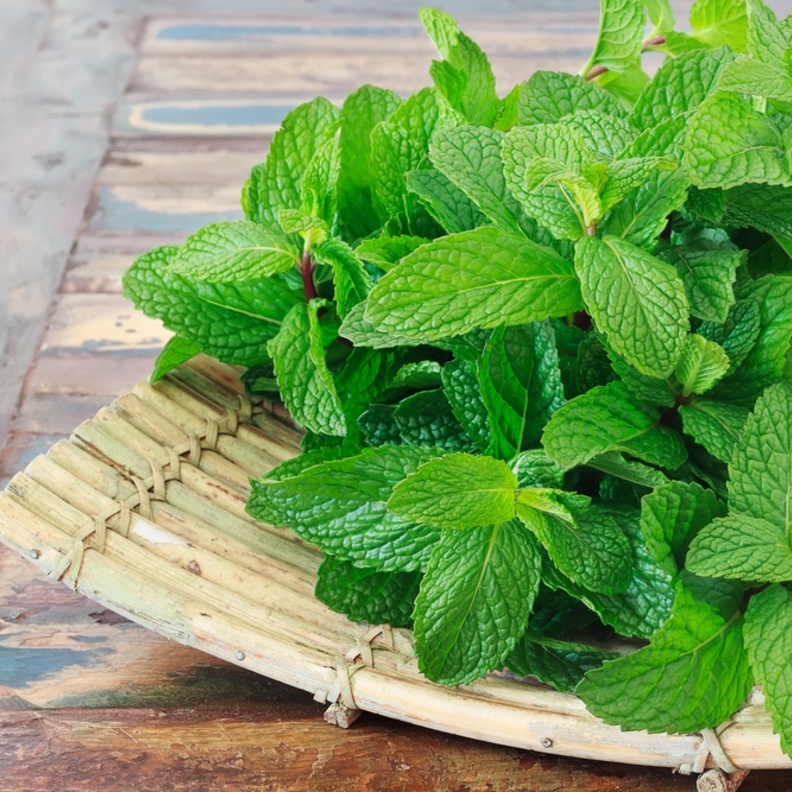 النعناع من افضل الاعشاب العطرية للصحة