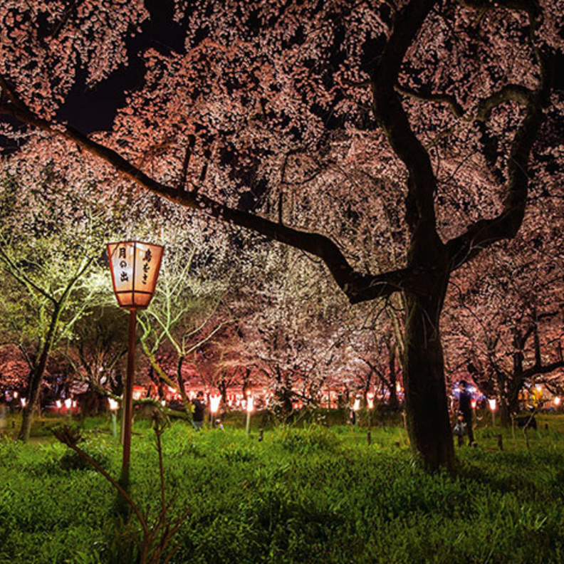 أفضل صور السفر في عام 2013 من ناشونال جيوغرافيك