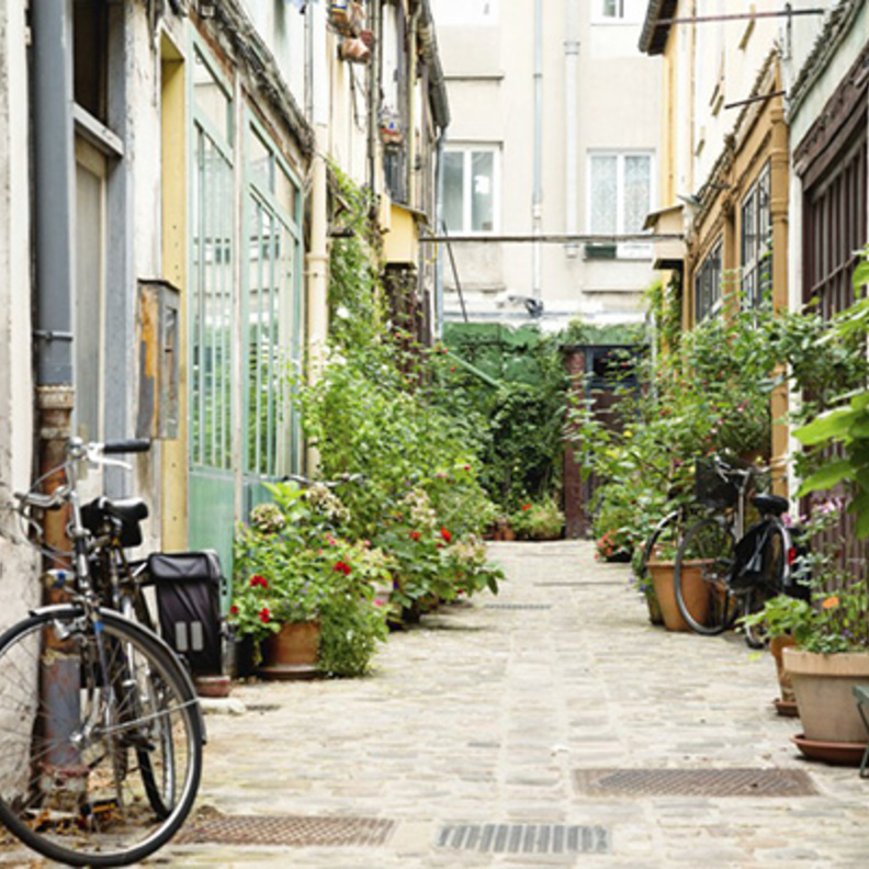 تجربة مثيرة وغير اعتيادية لم يسبق للسياح تجربتها.