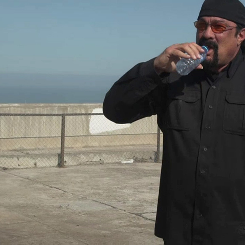 ستيفن سيجال Steven Seagal