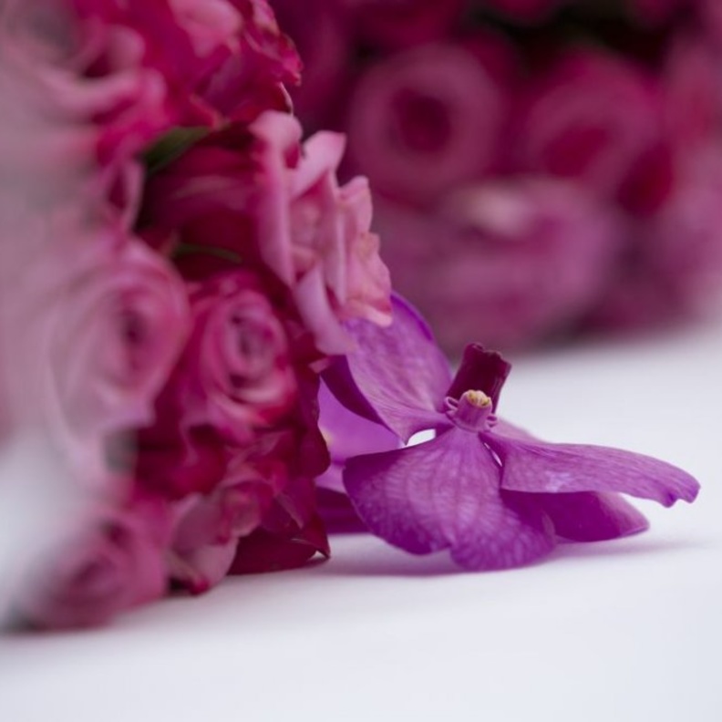 الالوان الرومانسية للورود