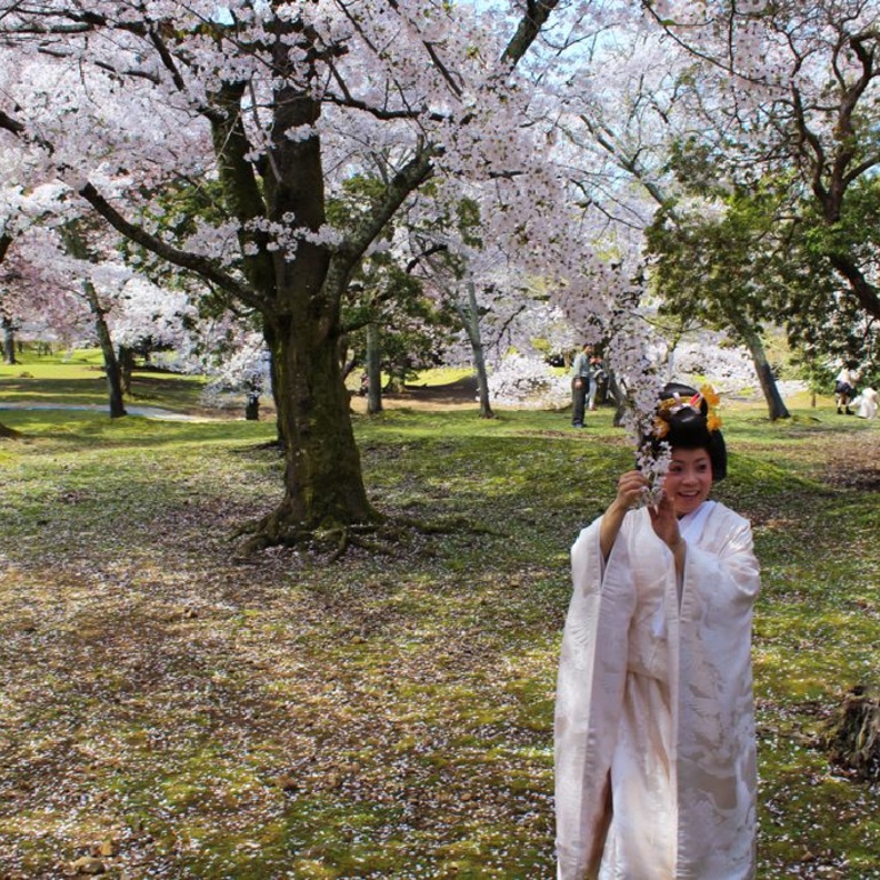 اليابانيون من الشعوب المهذبة والمتحضرة للغاية