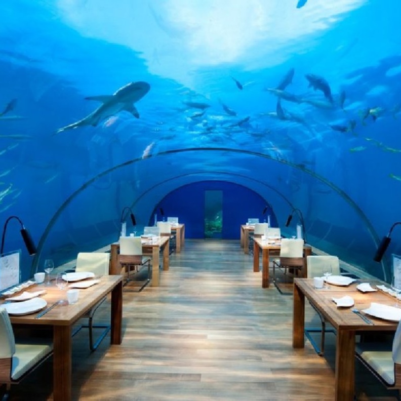 مطعم Ithaa Undersea Restaurant