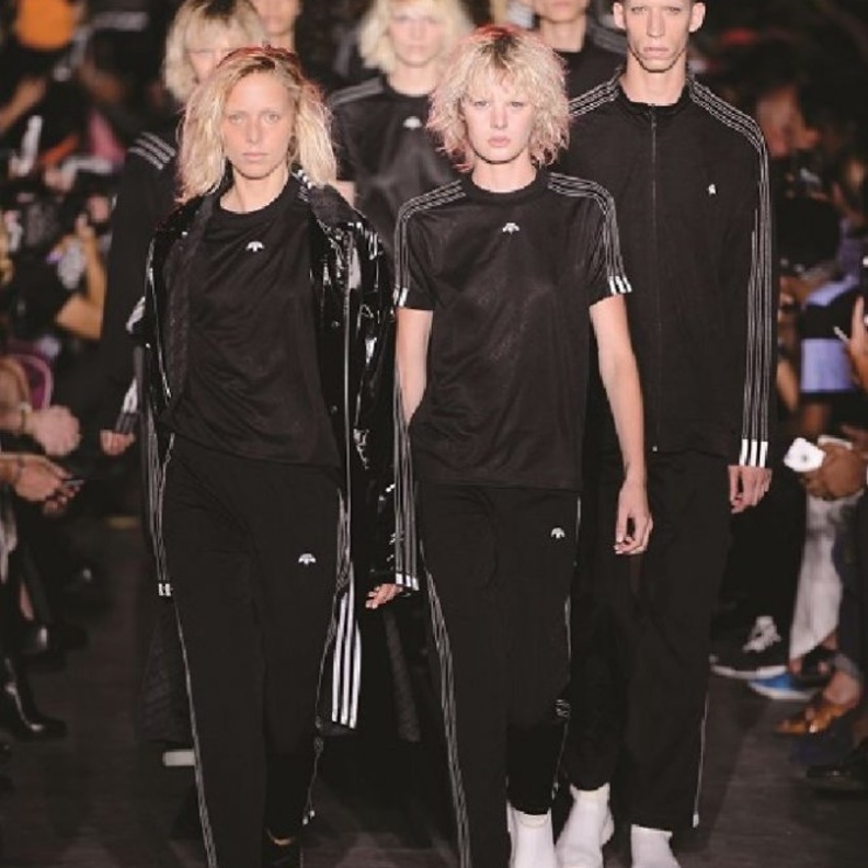 من عرض ألكسندر وانغ