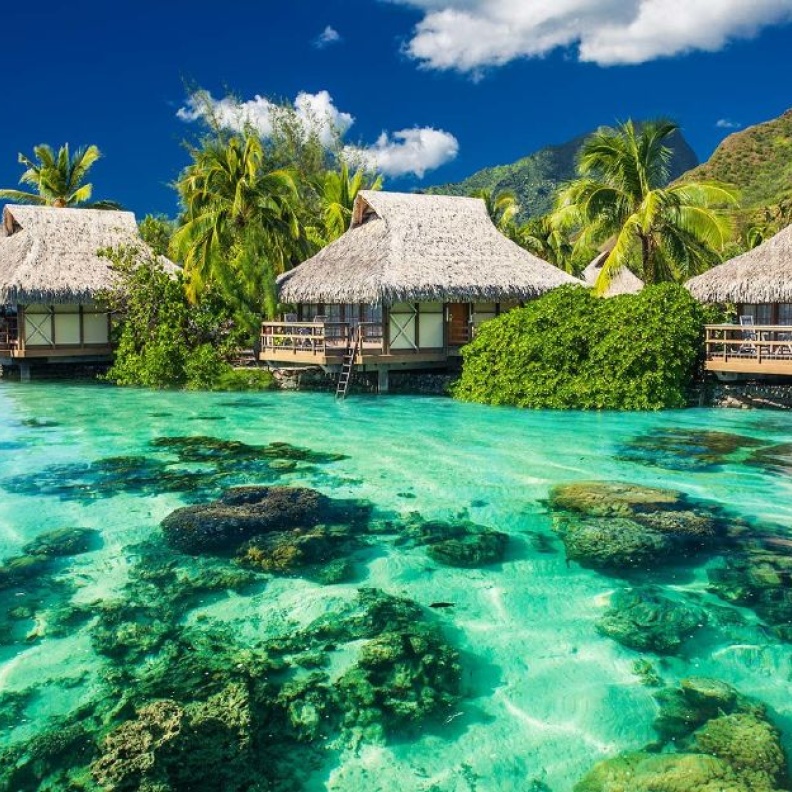 _جمال فريد في جزيرة هايدرا