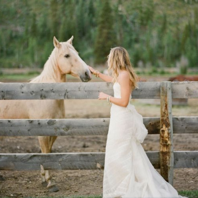 أجمل صور  الزفاف على صهوة الخيل               