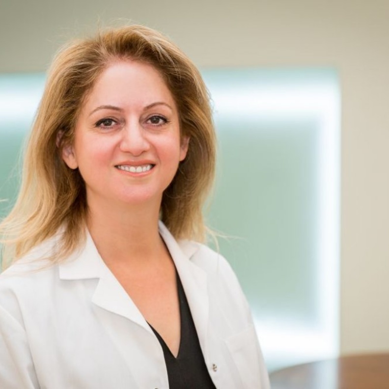 Professeur Amy Meshkati