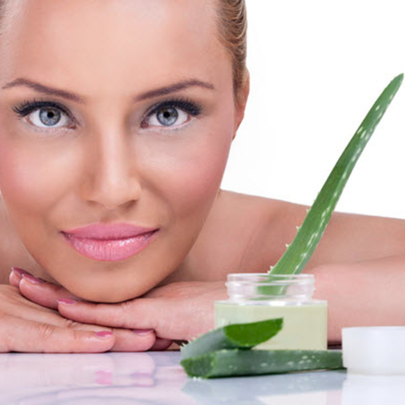 الالوفيرا او نبات الخلود