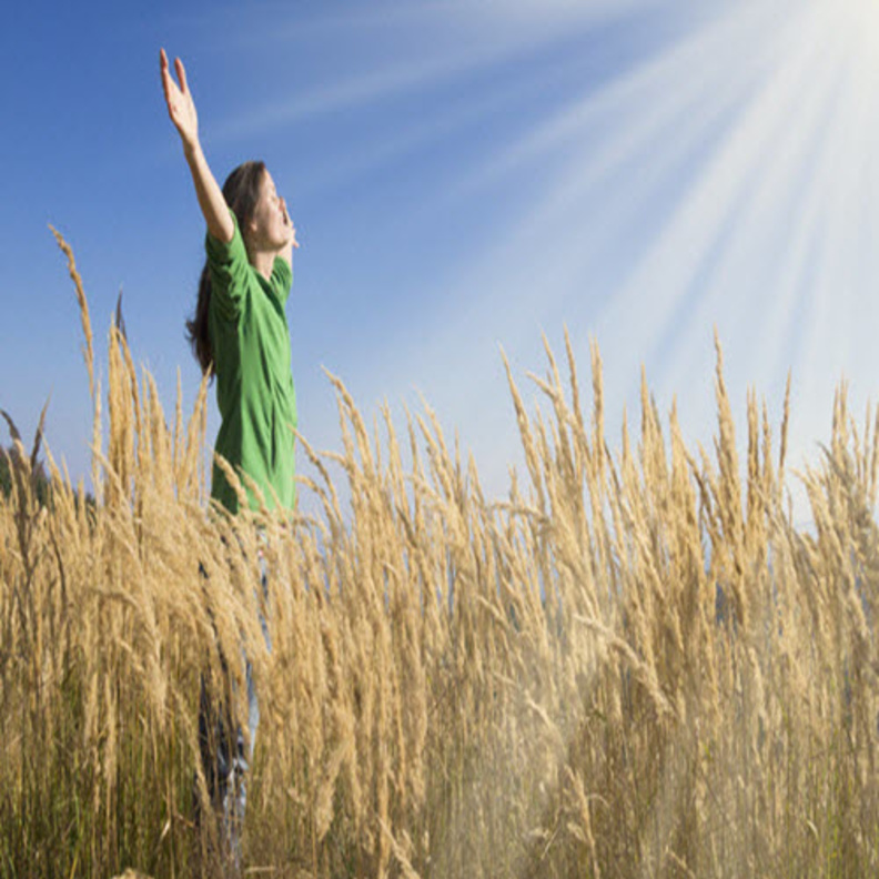 هل يمكننا خسارة الوزن بمجرد التحديق في الشمس؟