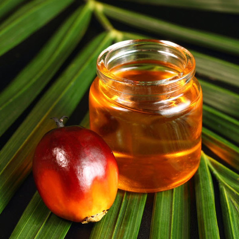 زيت النخيل من المكونات الطبيعية التي تعتبر خطيرة على الصحة