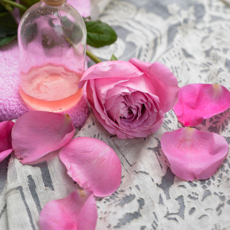 فوائد الورد الجوري للصحة والجمال