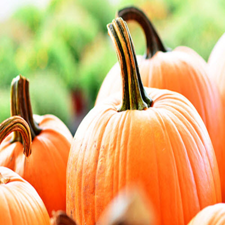 هذا ما تقدمه فاكهة اليقطين من منفعة صحية