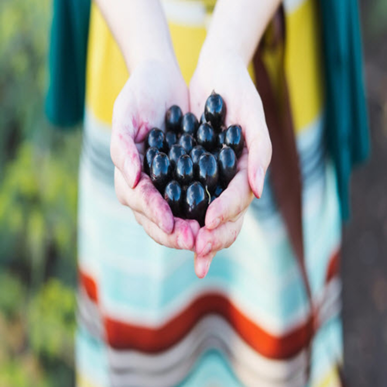 الكشمش: حليفك الأقوى ضد السرطان