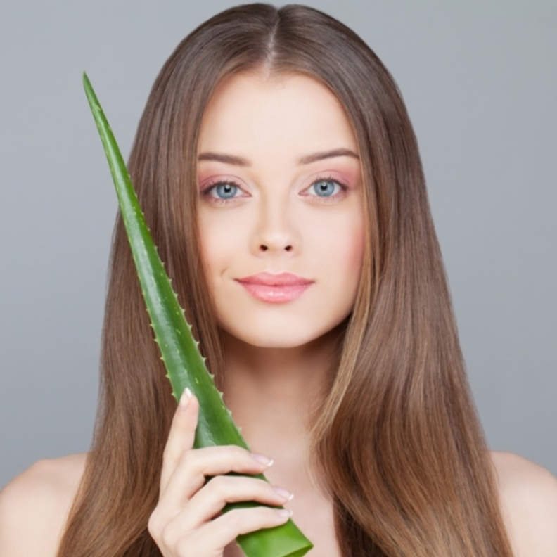 الالوفيرا فوائد