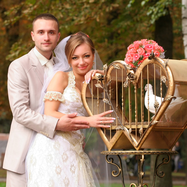 اقفاص الطيور لزينة خلابة