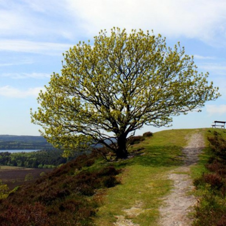 سيلكبورغ... فينسيا الدنمارك