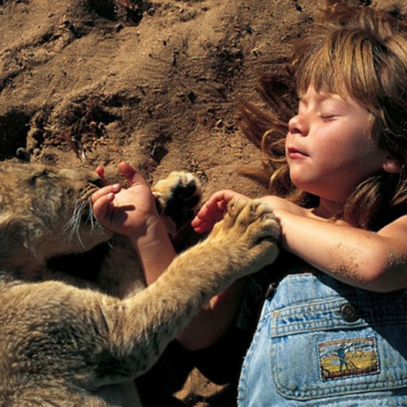 بالفيديو: طفل ينجو من فكي أسد