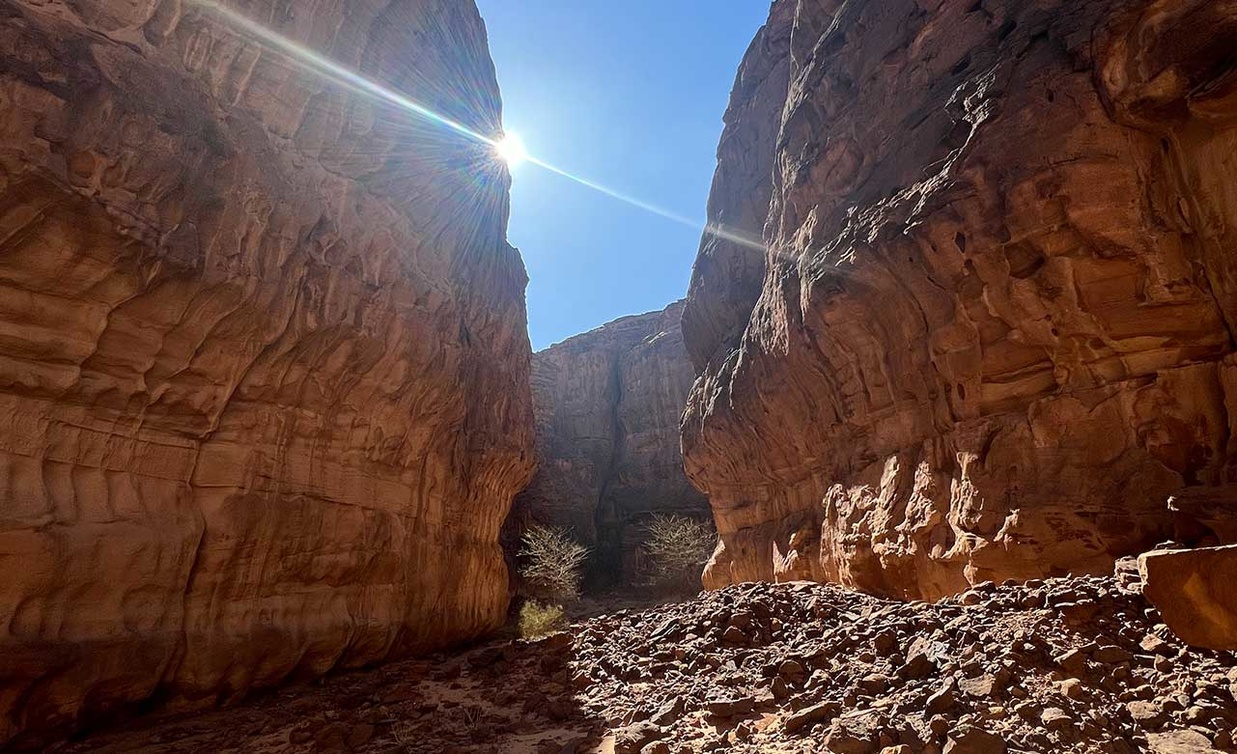  متعة المغامرة في مسار الأكاسيا 