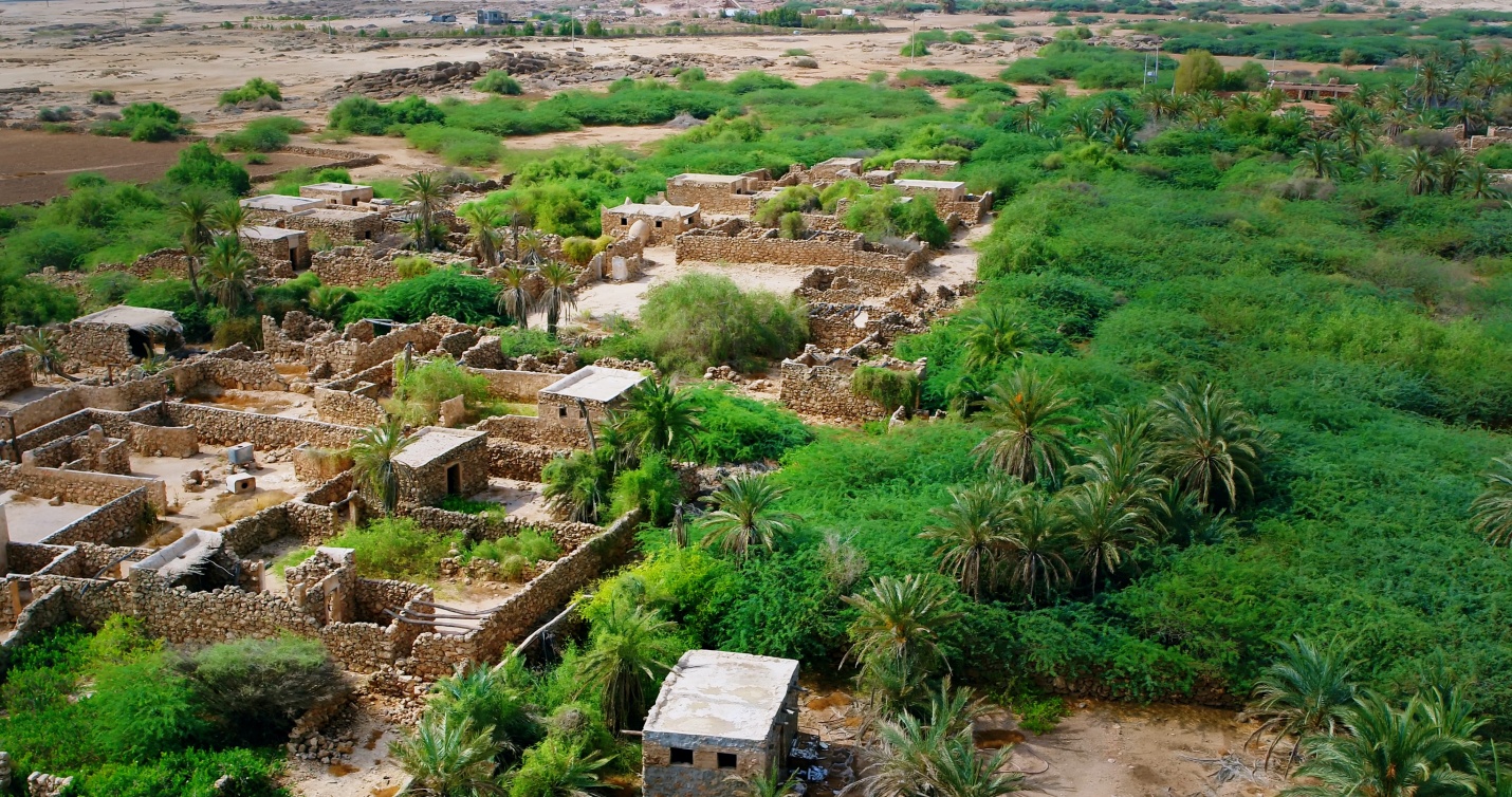  في قرية القصار ينتظركم تاريخ أصيل وتراث لا مثيل له. 