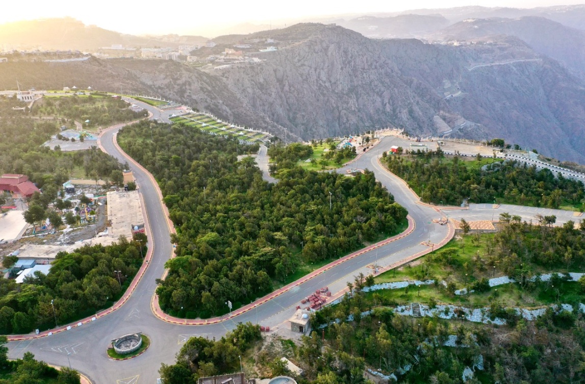 مطل رائع، وخضرة تحيط بالمكان في غابة رغدان  