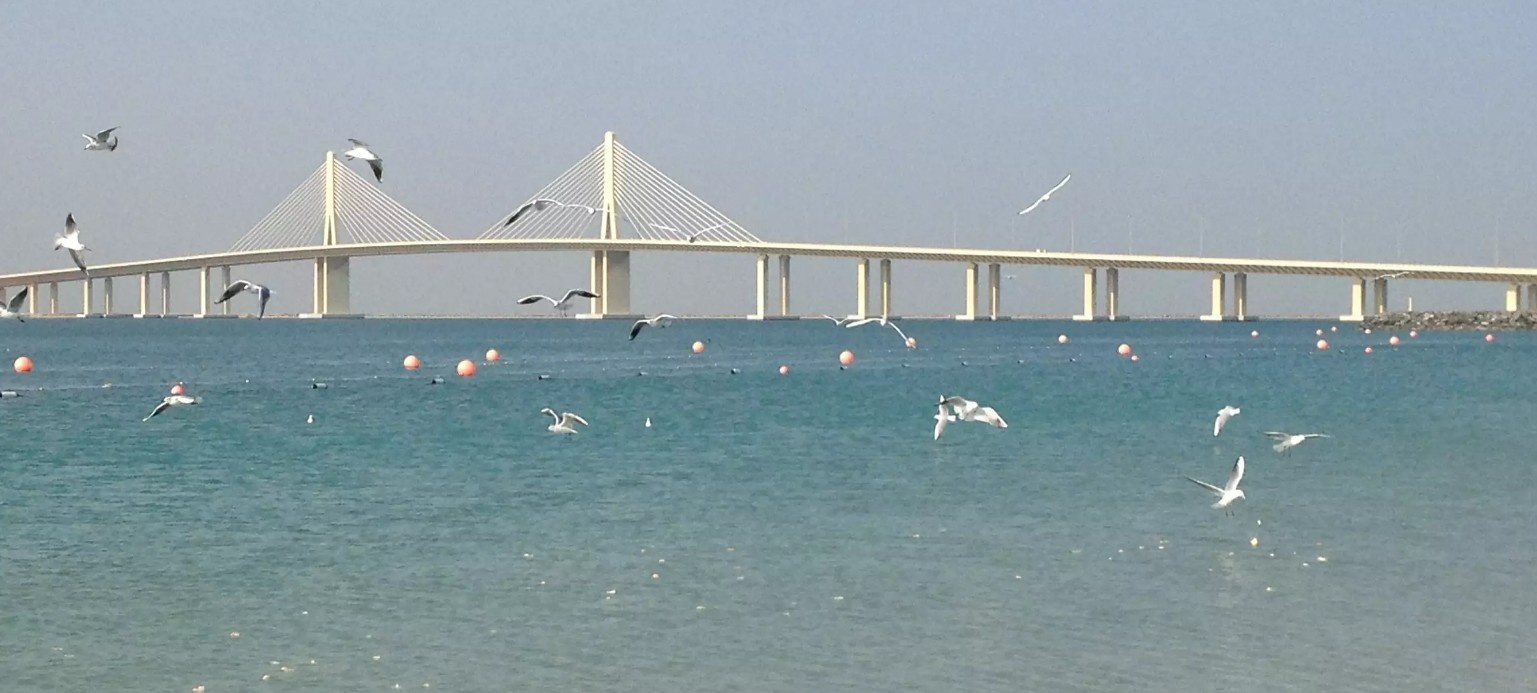  شاطئ البطين 