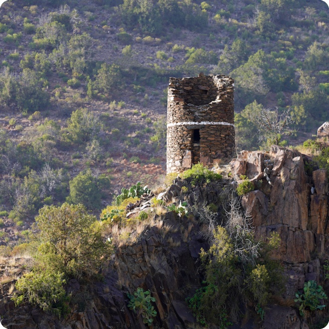  السودة جوهرة خضراء ووجهة سياحية متفردة فوق أعلى قمة في المملكة - مصدر الصورة الموقع الرسمي لرؤية المملكة 2030 