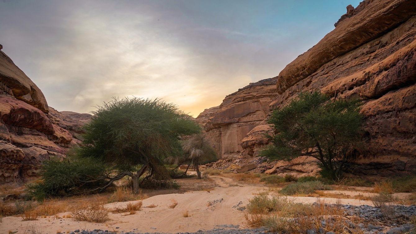  سحر المغامرة في محمية شرعان 