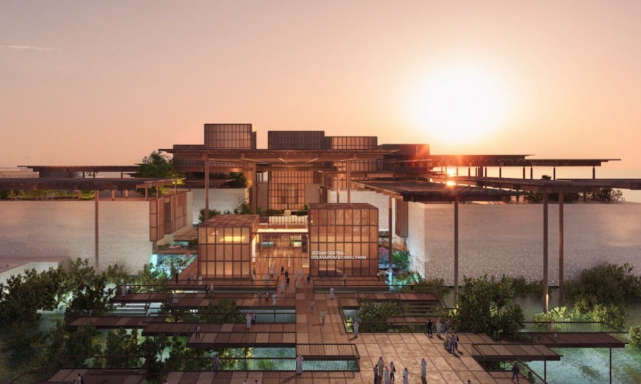  مركز عالمي للدراسات والأبحاث للمحافظة على الحياة البحرية في وسط جدة 