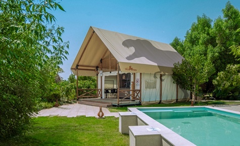  إقامة فاخرة وسط الطبيعة في خيام تي ريكس غلامبينغ خلال إجازة عيد الاتحاد 