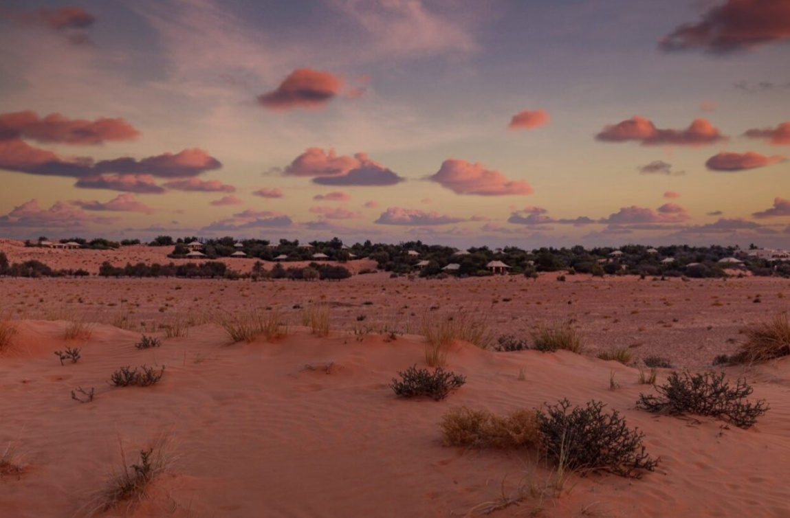  الطبيعة الصحراوية تأسر القلوب في منتجع المها الصحراوي  