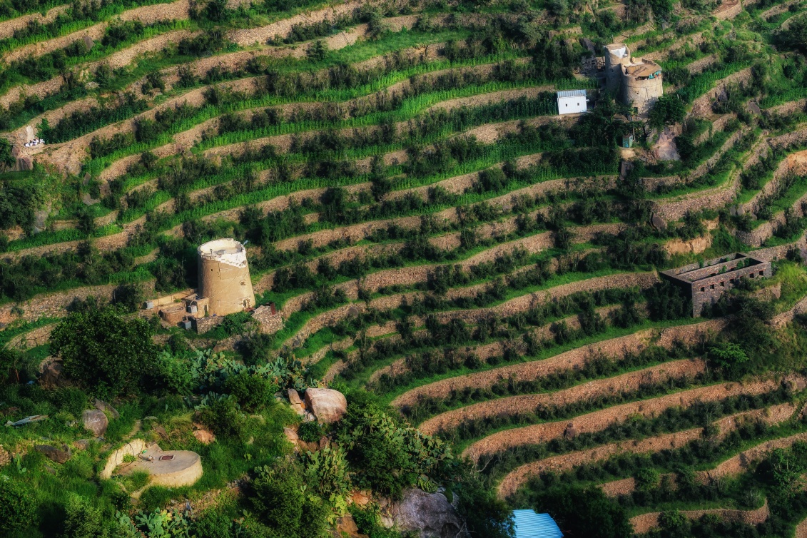  المسطحات الخضراء في جيزان توفر لكم تجربة طهي خيالية. 