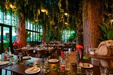  تجربة طعام وسط أجواء الغابة في مطعم جنغل احتفالاً بعيد الاتحاد 