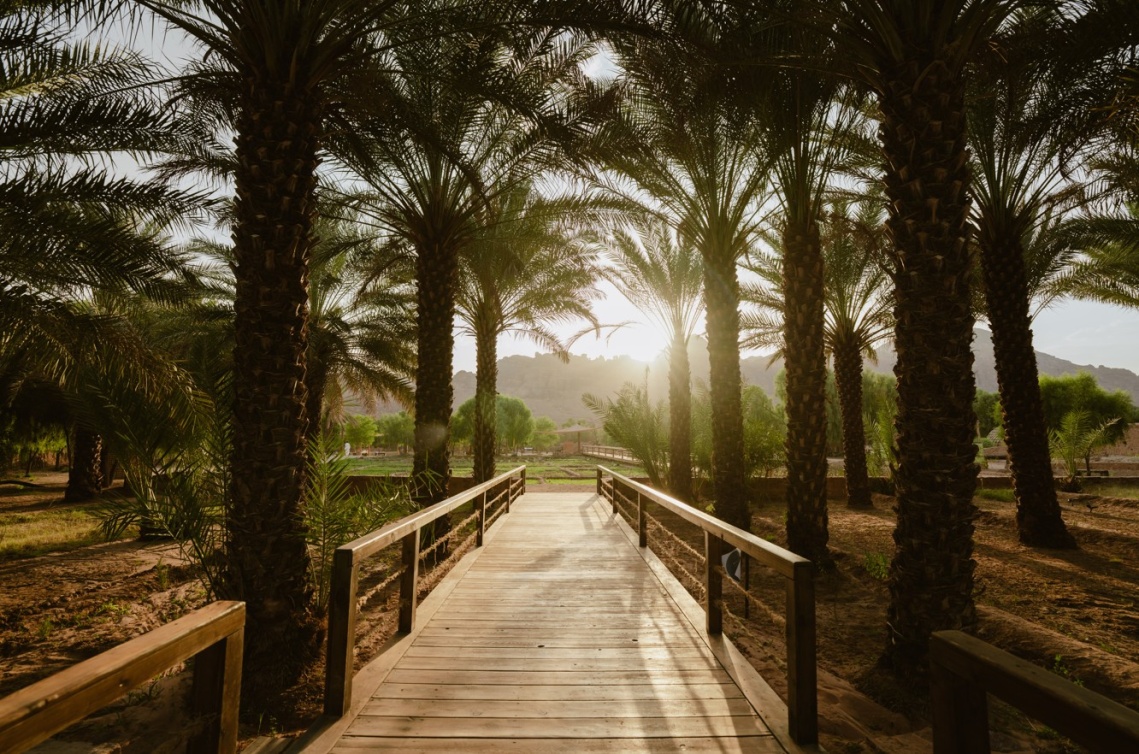  ديمومة واحدة من أجمل الوجهات في واحة العلا الساحرة  