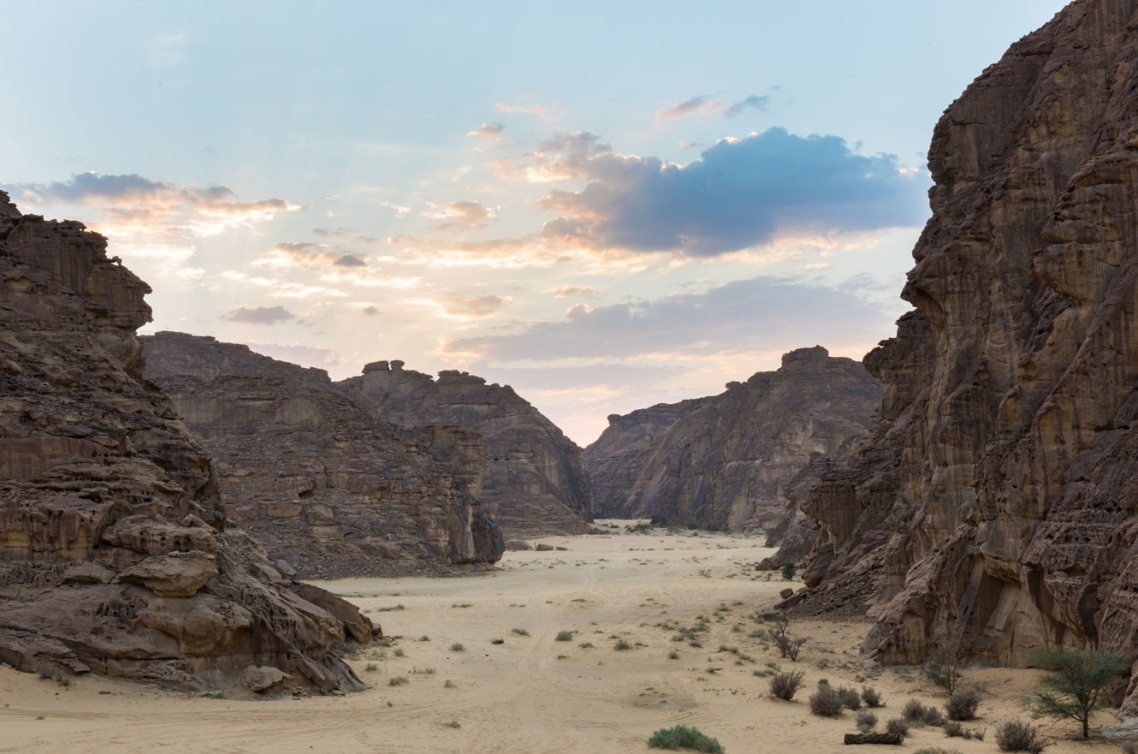 معرض صحراء X العلا الفني 