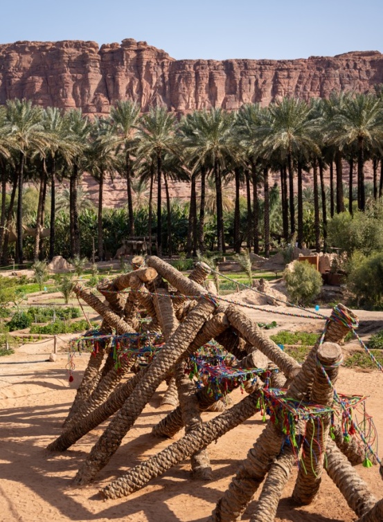  عناق أبدي… قراءة فنية جديدة لعلاقة الإنسان بالنخلة وتراث المكان 