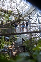  مغامرة استكشافية داخل الغابة المطيرة في ذا جرين بلانيت™ خلال عطلة عيد الاتحاد. 