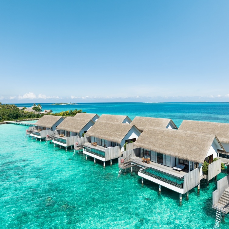  منتجع وسبا هيلتون المالديف أمينجيري يقدم مجموعة من العروض والفعاليات المميزة احتفالاً باليوم الوطني لدولة الإمارات 