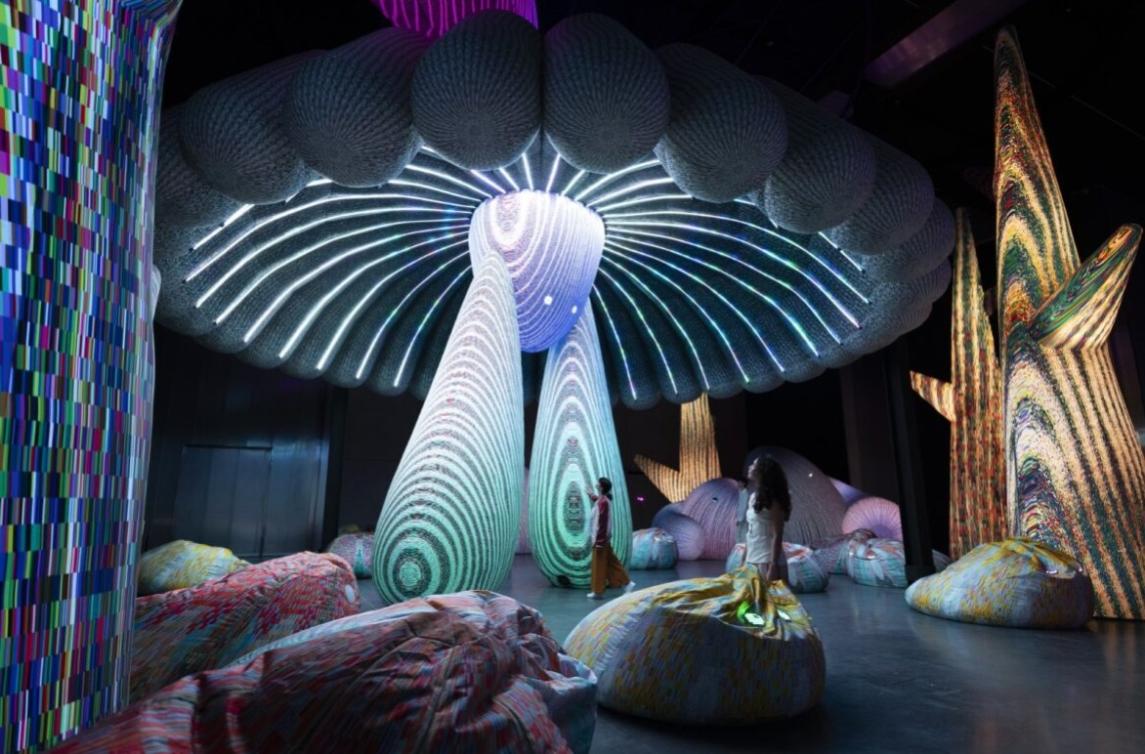  نبض الإبداع يعود إلى السركال أفنيو 