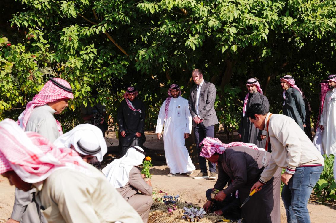  في حضرة النخيل والتاريخ… شراكة سعودية بريطانية تنمو كما تنمو الأشجار. 
