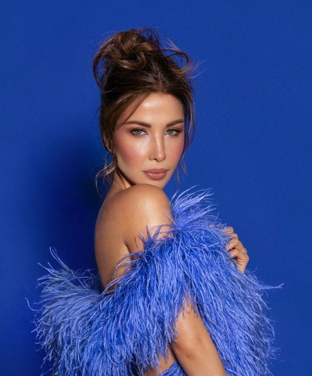 نانسي عجرم عام 2026