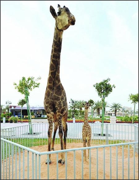 مهرجان ربيع بالرياض