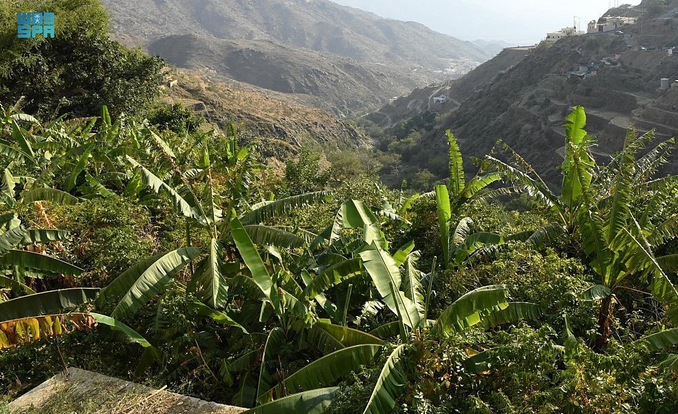 وادي الغيل وأجواء مثالية لعشاق الطبيعة الخلابة في المملكة - المصدر واس.